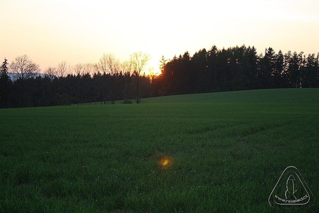 2012 Svojek mirek patek